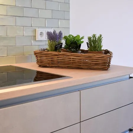 Cooles Haff Coast Im Surfer-style In - Haffkrug